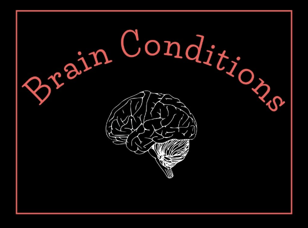picture of a brain labelled brain conditions